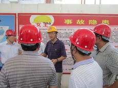 省住建厅徐学军副厅长来南京建工集团莉湖畔项目检查工作